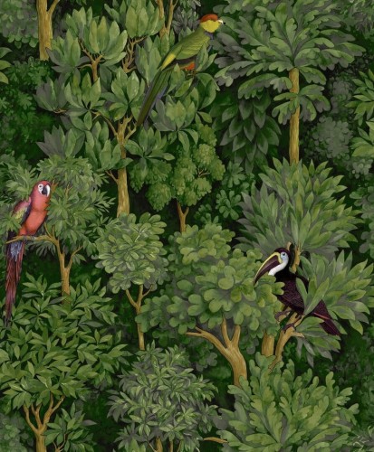 Tapeta egzotyczne ptaki i drzewa Holden 91250 Botanist Amazonia
