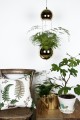 Lampa wisząca Mini Planter Brass 241163 Globen