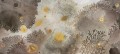 Tapeta pod prysznic w koralowce Wall&Deco WET_MU2101 Mufarina WET SYSTEM 2021