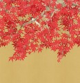 Fototapeta czerwony klon japoński London Art Tsukesage knm20 A Tale Books: Kimono