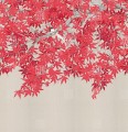 Fototapeta czerwony klon japoński London Art Tsukesage knm20 E Tale Books: Kimono