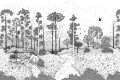 Fototapeta krajobraz lasu z jeleniem Les Dominotiers DOM800 La Biche Aux Bois Volume 10