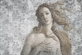 Fototapeta artystyczna Venus Lorenso TPA 0125 0137 00 Venus