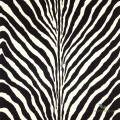 Tapeta Ralph Lauren Welur PRL5017/04 Bartlett Zebra