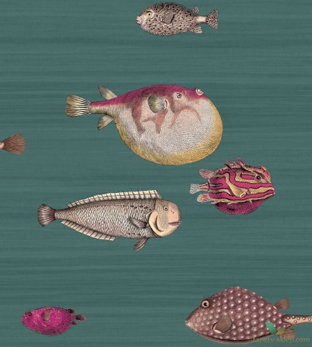 Tapeta Z Rybami Cole & Son Acquario 114/12024 Fornasetti