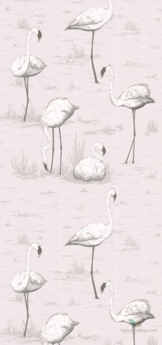 Tapeta Cole & Son Contemporary Restyled Flamingos 95/8046