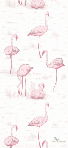 Tapeta Cole & Son Contemporary Restyled Flamingos 95/8045