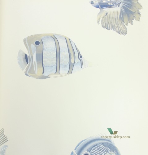 Tapeta Harlequin 111649 Kamanu Anthozoa