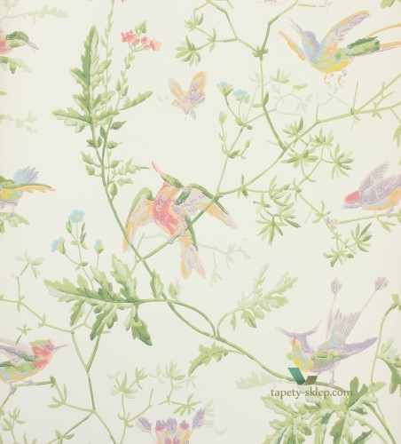 Tapeta 100/14067 Cole & Son Archive Anthology Hummingbirds