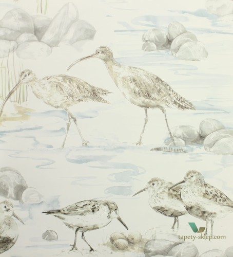 Tapeta ptaki Sanderson 216492 Estuary Birds