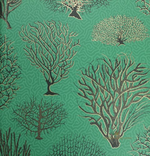 Tapeta Cole & Son 107/2007 Seafern Curio