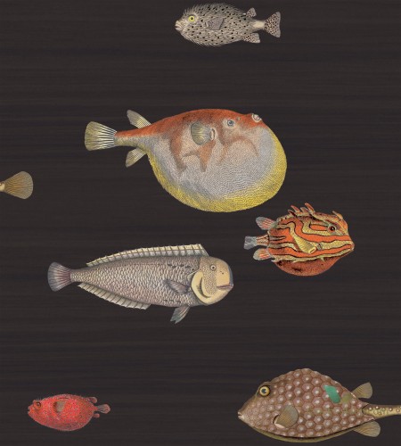 Tapeta Ryby Cole&Son Acquario 97/10048 Fornasetti Senza Tempo