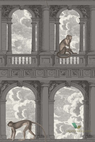Tapeta Architektoniczna Małpa i Chmury Cole&Son Procuratie con Vista 114/8016 Fornasetti Senza Tempo