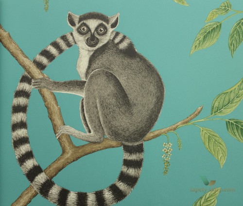 Tapeta lemury Sanderson 216663 Ringtailed Lemur The Glasshouse