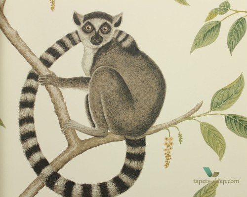 Tapeta lemury Sanderson 216664 Ringtailed Lemur The Glasshouse