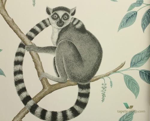 Tapeta lemury Sanderson 216665 Ringtailed Lemur The Glasshouse