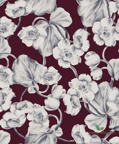 Tapeta kwiaty Khroma KEN302 Anemone Kent