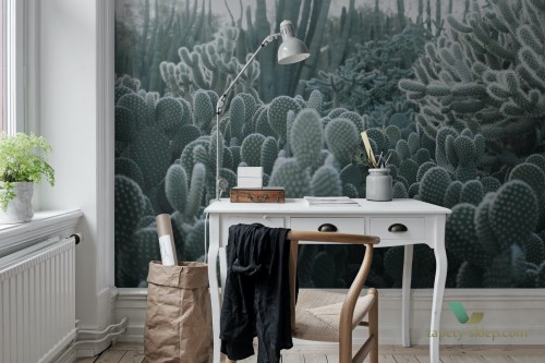 Fototapeta Rebel Walls R15611 Cacti