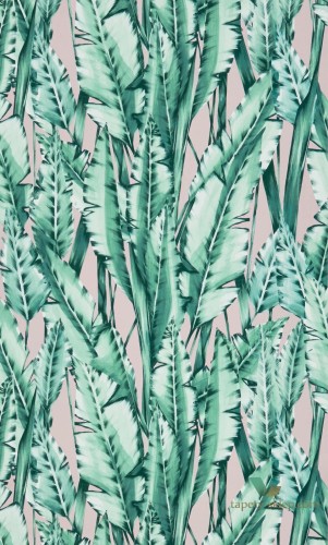 Tapeta Osborne & Little W7333-01 Tiger Leaf Folium