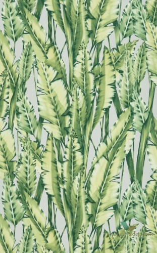 Tapeta Osborne & Little W7333-02 Tiger Leaf Folium