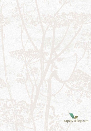 Tapeta Kwiaty Kopru Cole&Son Cow Parsley 95/9052 The Conptemporary Collection