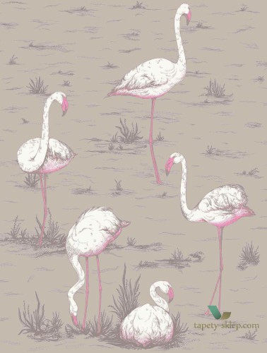 Tapeta Flamingi Cole&Son Flamingos 66/6042 The Conptemporary Collection