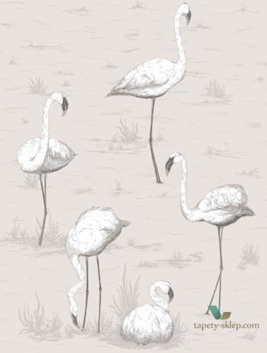 Tapeta Flamingi Cole&Son Flamingos 95/8046 The Conptemporary Collection