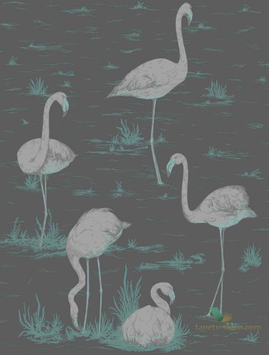 Tapeta Flamingi Cole&Son Flamingos 95/8048 The Conptemporary Collection