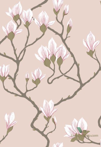 Tapeta Kwiaty Magnolii Cole&Son Magnolia 72/3009 The Conptemporary Collection