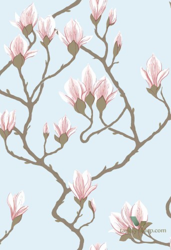 Tapeta Kwiaty Magnolii Cole&Son Magnolia 72/3011 The Conptemporary Collection