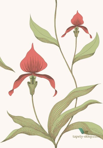 Tapeta Kwiaty Orchidei Cole&Son Orchid 95/10054 The Conptemporary Collection