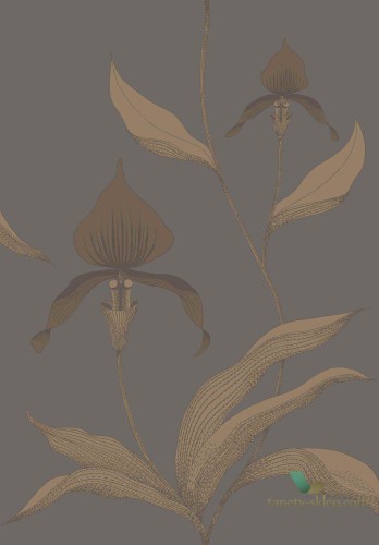 Tapeta Kwiaty Orchidei Cole&Son Orchid 95/10056 The Conptemporary Collection