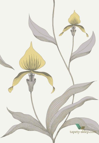 Tapeta Kwiaty Orchidei Cole&Son Orchid 95/10057 The Conptemporary Collection