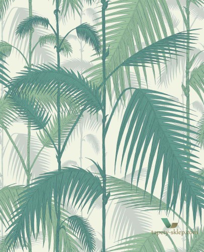Tapeta Liscie Palm Cole&Son Palm Jungle 95/1002 The Conptemporary Collection