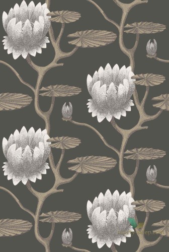 Tapeta Lilia Kwiaty Cole&Son Summer Lily 95/4026 The Conptemporary Collection