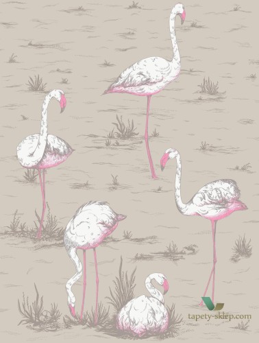 Tkanina flamingi Cole&Son Flamingos F111/3011LU The Contemporary Collection