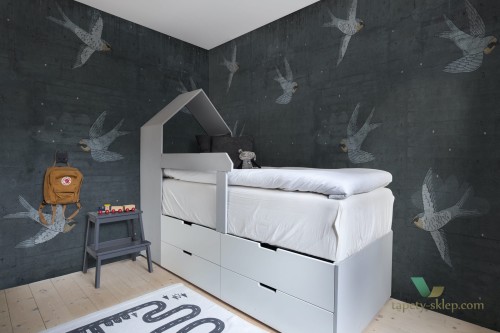 Fototapeta Rebel Walls R16972 Concrete Art Night Swallow