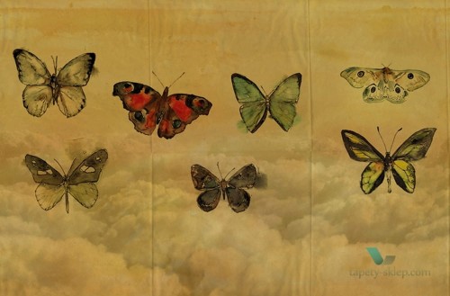 Tapeta Wall&Deco Butterflies GPW1434 Contemporary 14