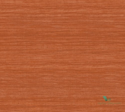 Tapeta Arte Tasar 72036 Expedition