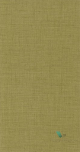 Tapeta płótno Casadeco TWED 85477257 Tweed
