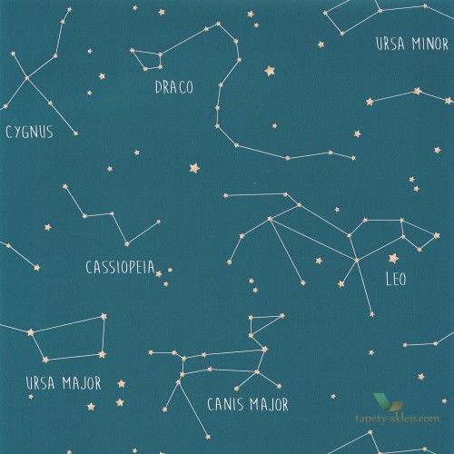 Tapeta Konstelacje Gwiazdki OUP101916003 Caselio Constellations