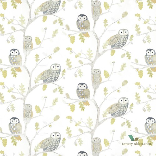 Tapeta Harlequin 112627 Little Owls Book Of Little Treasures