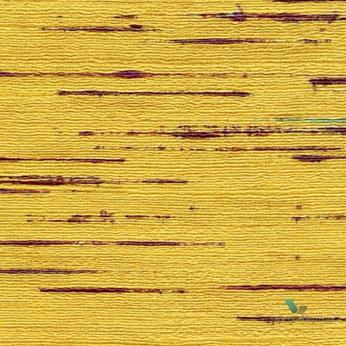 Tapeta jak tkanina Elitis VP85104 Indiana Talamone