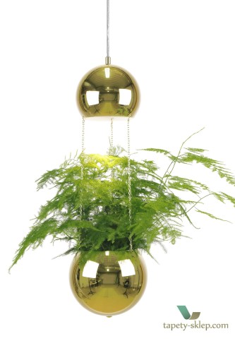 Lampa wisząca Mini Planter Brass 241163 Globen
