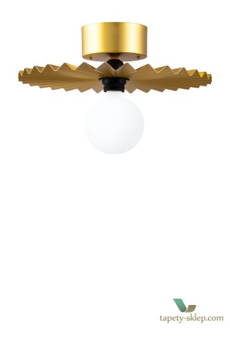 Lampa sufitowa/Kinkiet Omega 35 Brushed Brass 261065 Globen