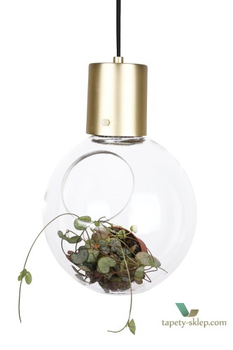 Lampa wisząca/Lampa stołowa Mini Hole Clear / Brushed Brass 641055 Globen