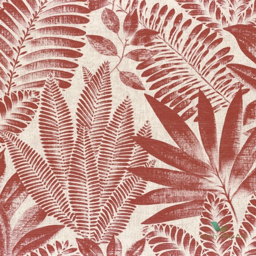 Tapeta Liście Casamance 75183682 Aloes Karabane