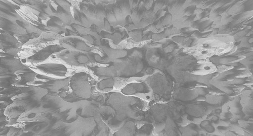 Tapeta Koralowce Muance MU13096 Coral On The Wall Amber