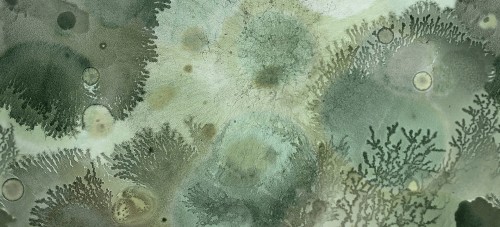 Tapeta pod prysznic w koralowce Wall&Deco WET_MU2102 Mufarina WET SYSTEM 2021