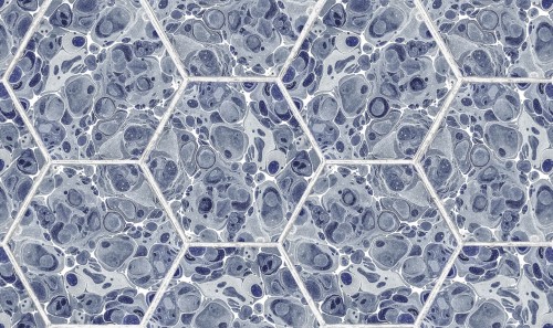 Tapeta heksagony marmur Rebel Walls R18557 Marbled Hexagon Tiles Dark Blue Pops